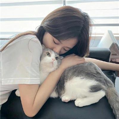 老爷，别闹