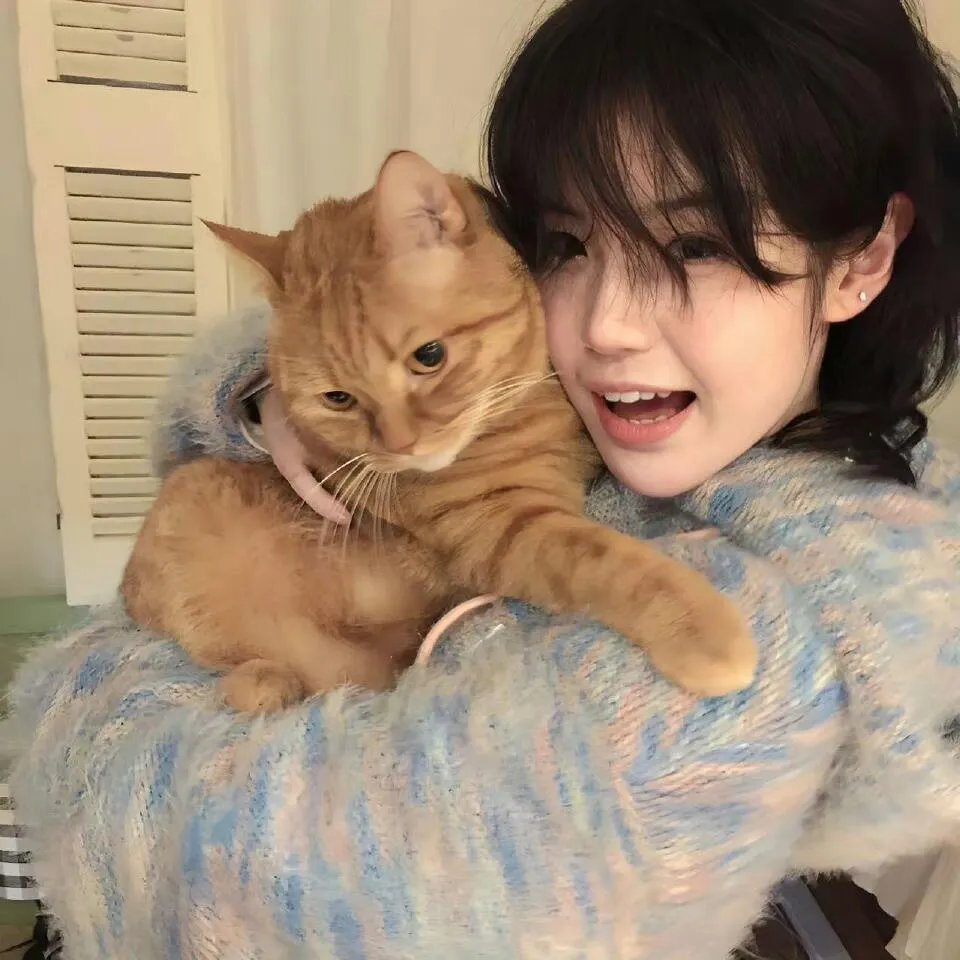 功夫兔与菜包狗第二季